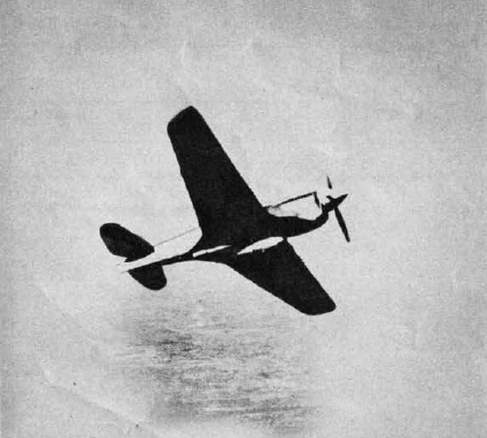 Curtiss P-40 from below 