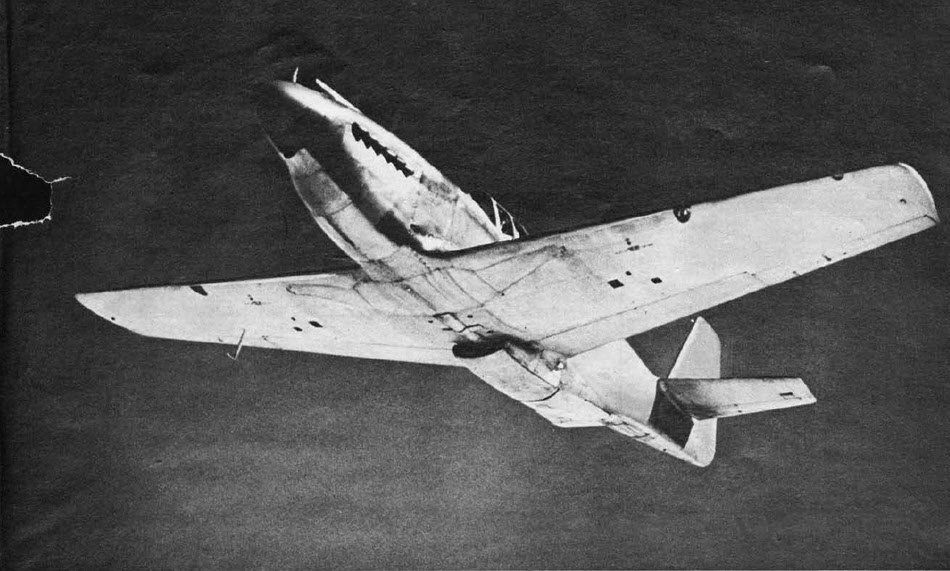 North American P-51 Mustang from Below 