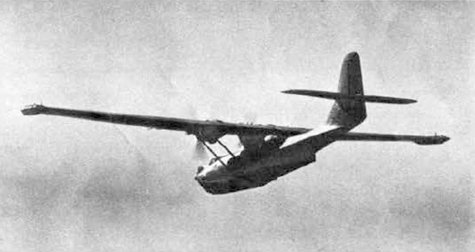 Naval Aircraft Factory PBN Nomad from the rear 