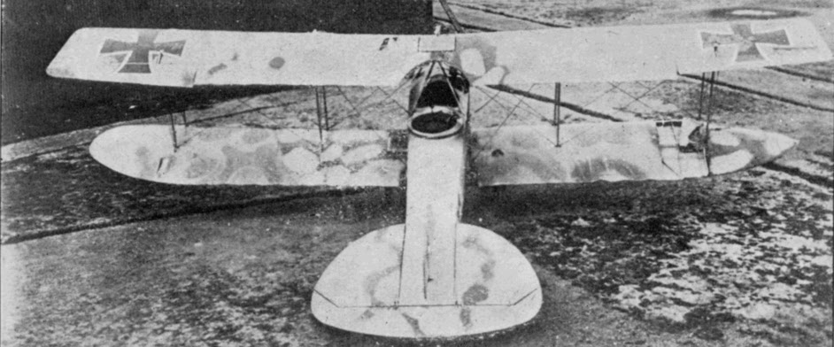 Rear view of Albatros C.V 