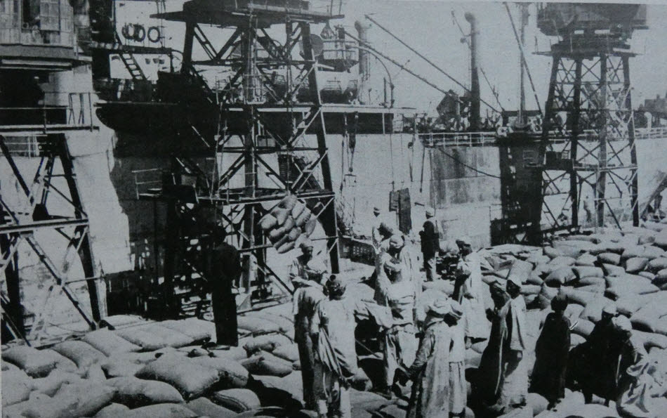 Unloading Australian Wheat in Egypt 
