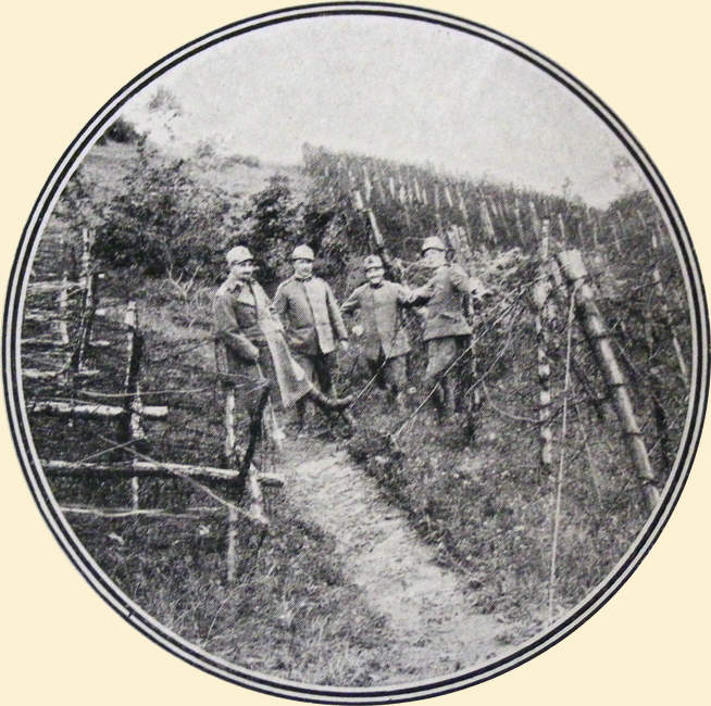 Barbed Wire on the Alpine Front