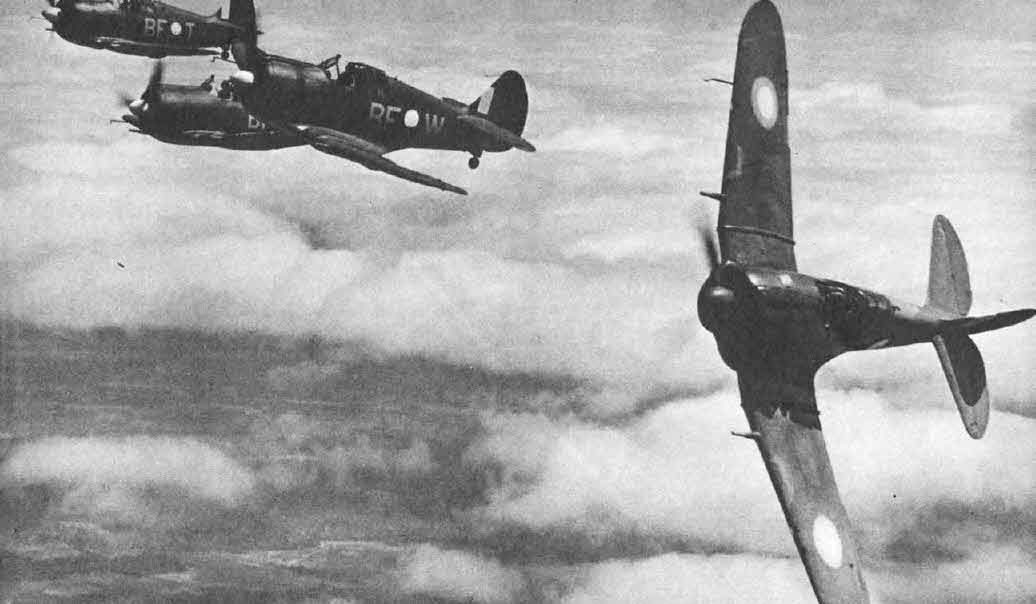 Boomerangs of No.5 Squadron, RAAF 
