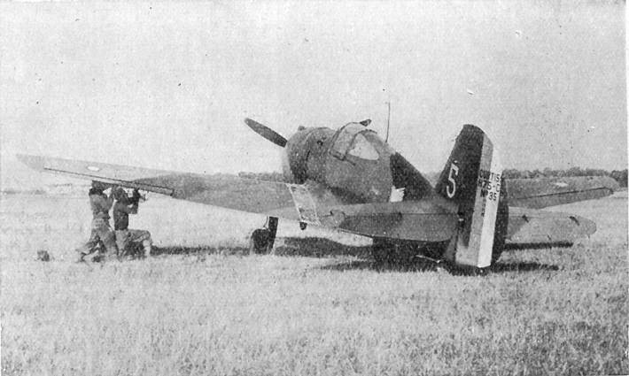 Curtiss Hawk 75A-1 No.35