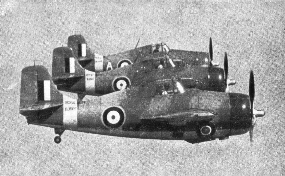 Grumman Martlets in formation