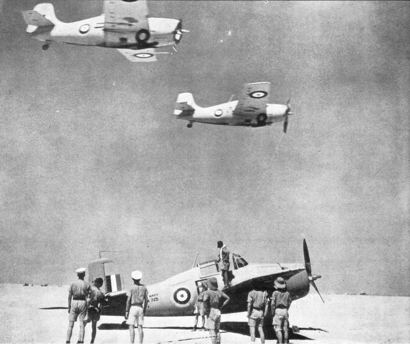 Grumman Martlets in the western desert