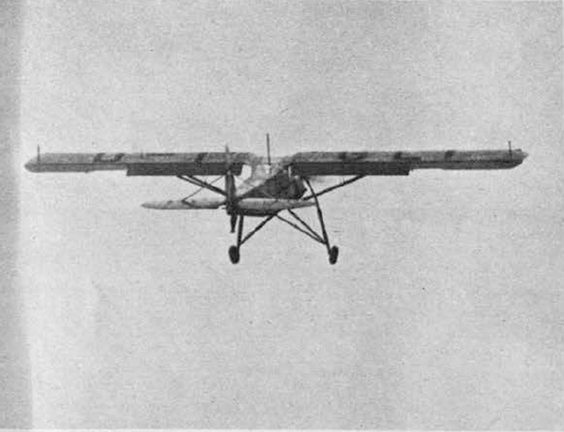 Fieseler Fi 156 Storch from the rear 