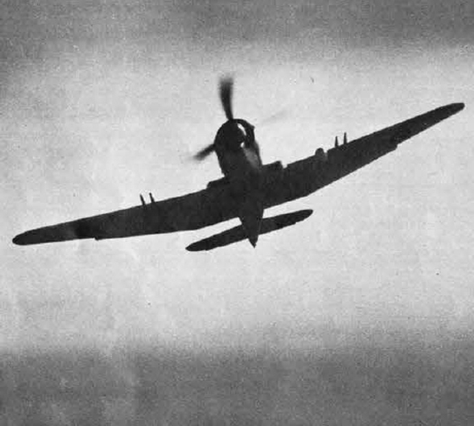 Blackburn Firebrand TF.III from the front 