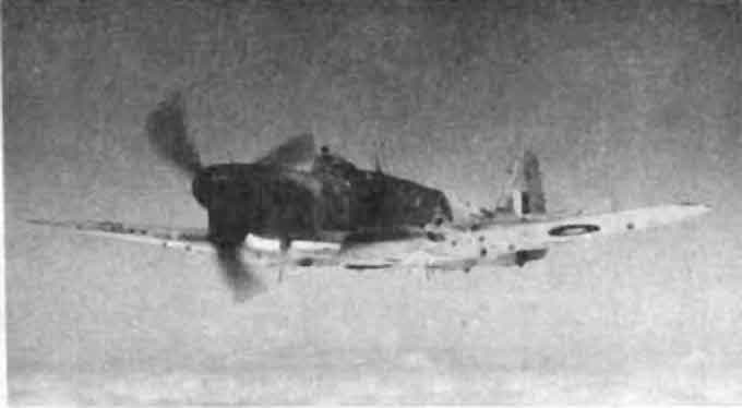 Fairey Firefly I from the front 