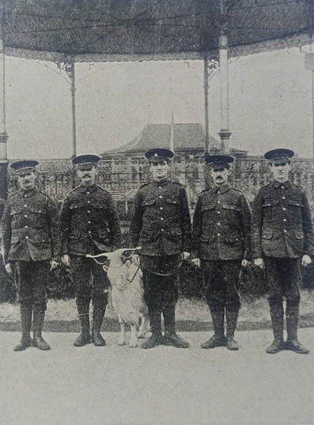 Five Brothers from 13th Battalion, Welsh Regiment 