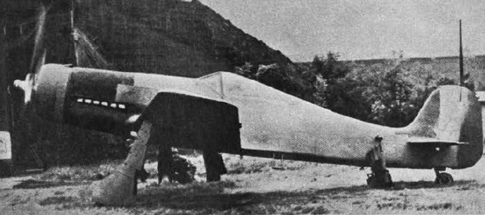 Focke Wulf Fw 190D from the left 