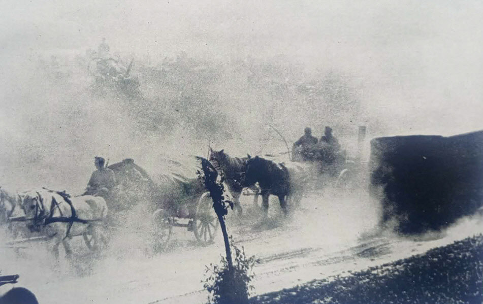 German Horse Transport, 1941 