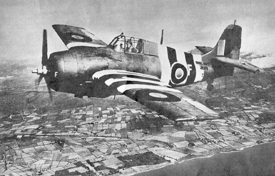 Grumman Wildcast of Fleet Air Arm with Invasion Stripes 