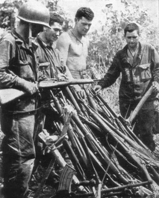 Japanese guns captured at Sanananda