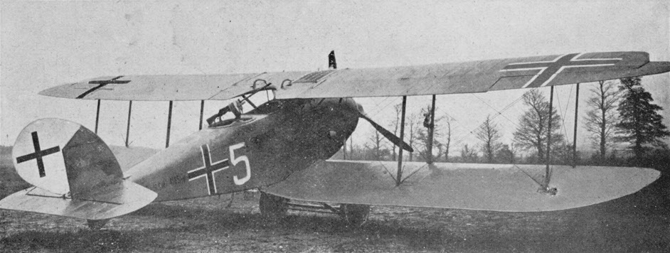 Halberstadt C.V from the right-rear 