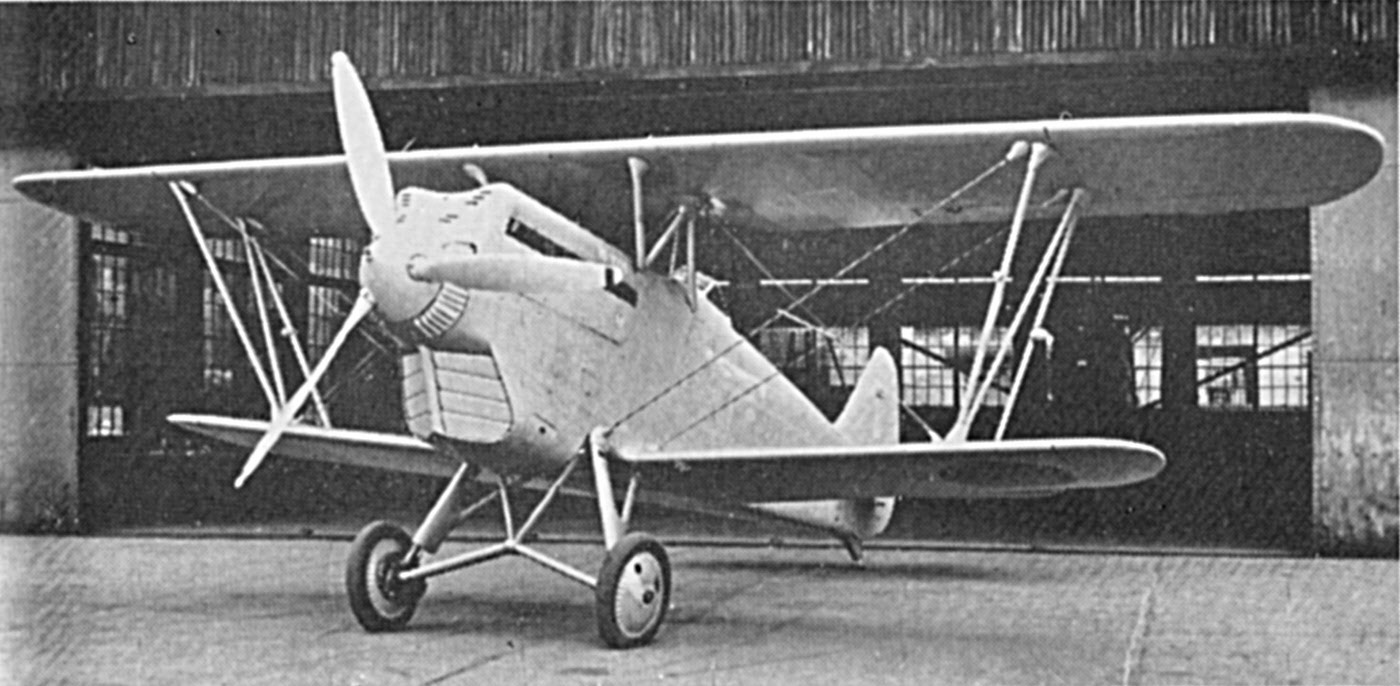 Kawasaki Ki-10 from the front 
