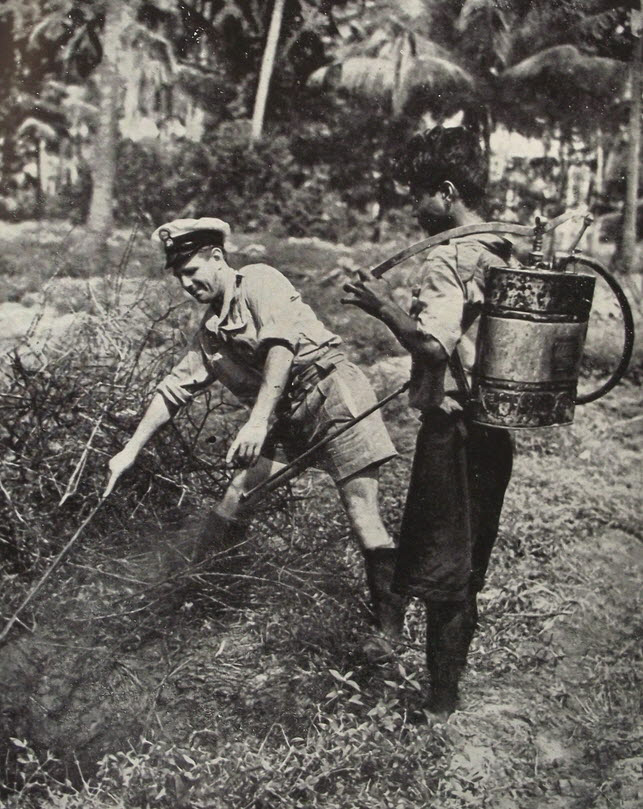 Spraying DDT on Ceylon 