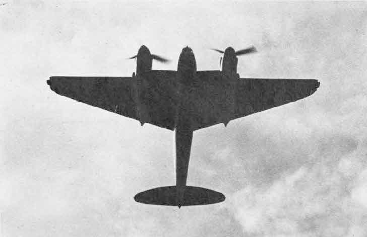 Mosquito from Below 