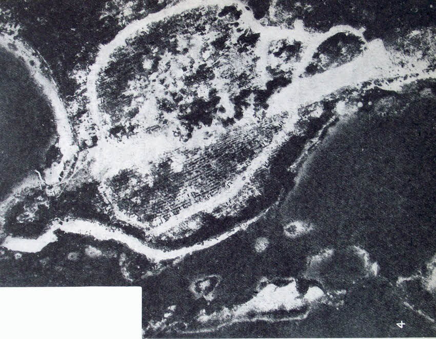 American raid on Munda 