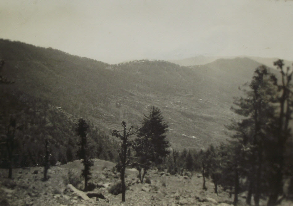 Murree Hills around Lower Topa (3 of 4)