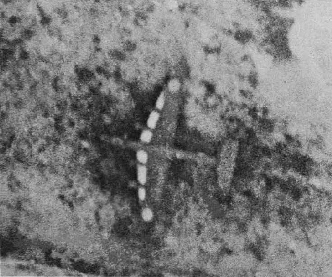 Nakajima G5N Shinzen 'Liz' from above 