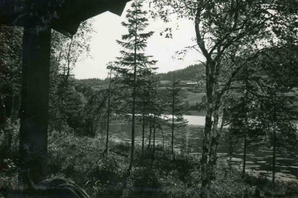 Norwegian Scenary 1 