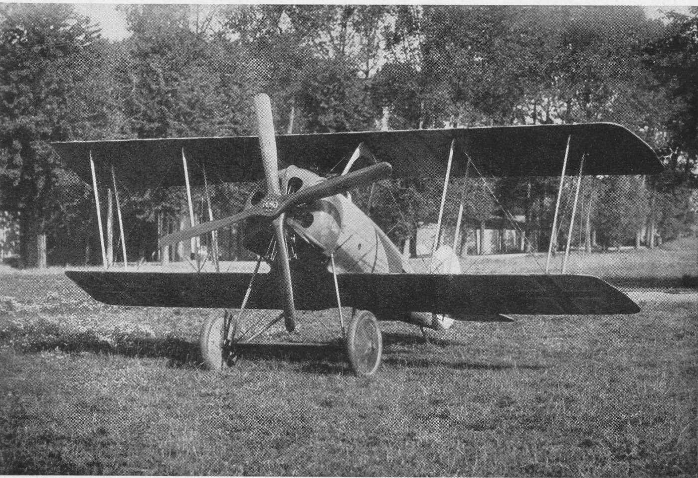 Pfalz D.VIII from the Front 
