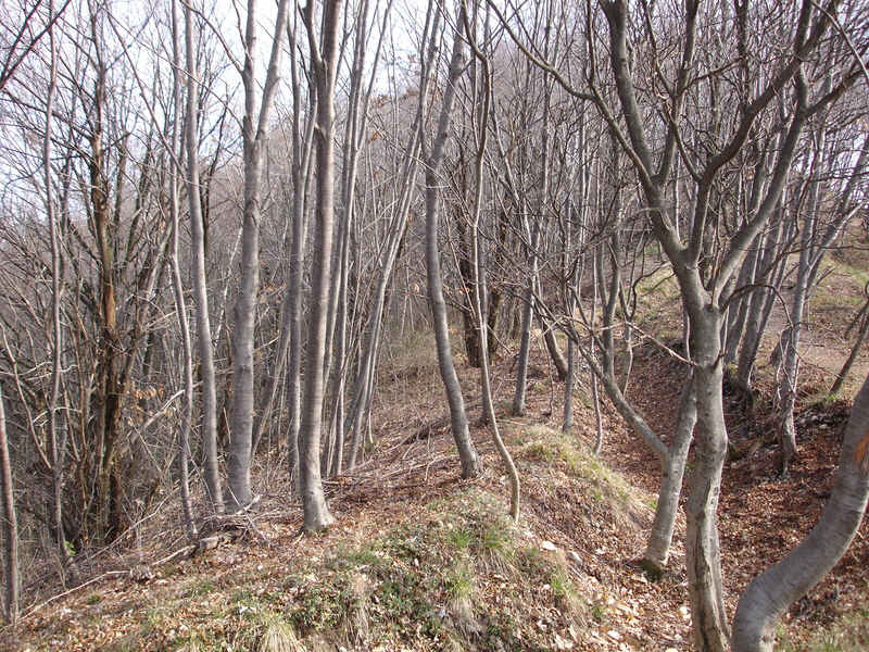 Battle of Piave, 15-23 June 1918 (1 of 10) 