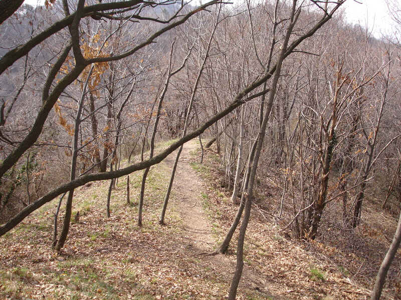 Battle of Piave, 15-23 June 1918 (4 of 10) 