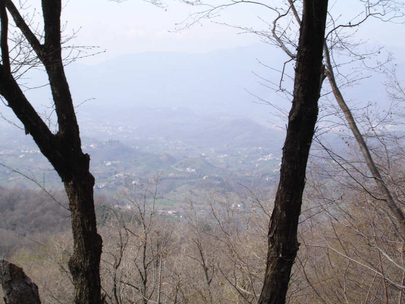 Battle of Piave, 15-23 June 1918 (8 of 10) 