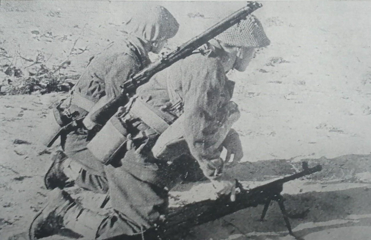 RAF Regiment Bren Gunner, El Daba 