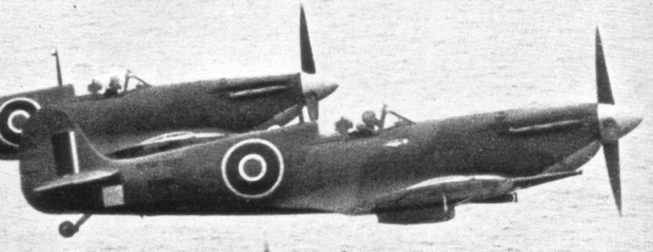 Supermarine Seafire in Flight 