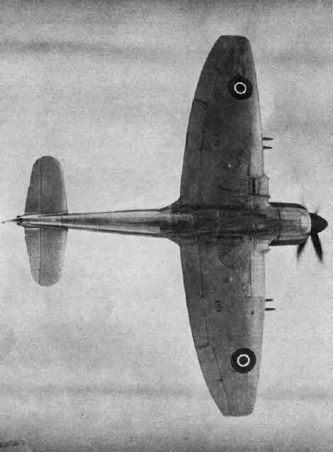 Hawker Tempest II from Below 