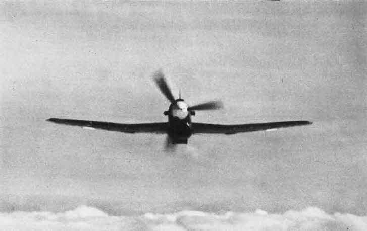 Head-on view of Hawker Typhoon 