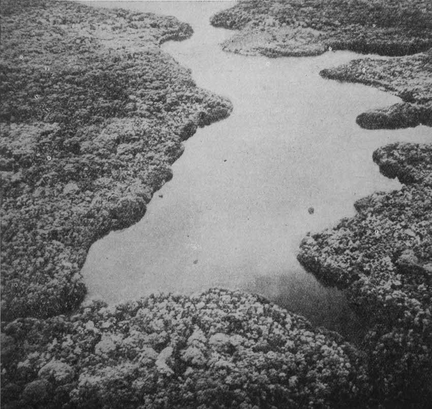 Viru Harbour, New Georgia, from the air 