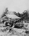 40mm Bofors Gun near Lae, September 1943 