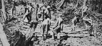 US Troops building Corduroy Road, New Georgia 