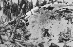 Destroyed Japanese Pillbox on Tarawa 