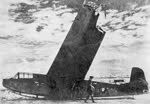 Crashed DFS 230