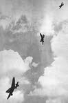 Formation of Junkers Ju 87Ds diving 