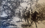 Soviet Cavalry Exercises, c.1941 
